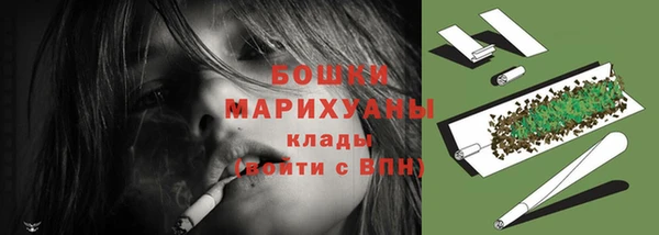PSILOCYBIN Бугульма