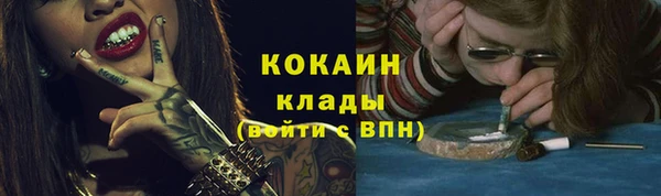 дмт Бородино
