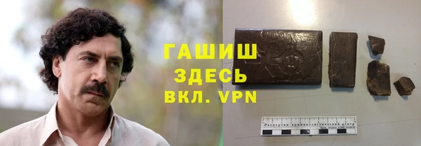 дмт Бородино