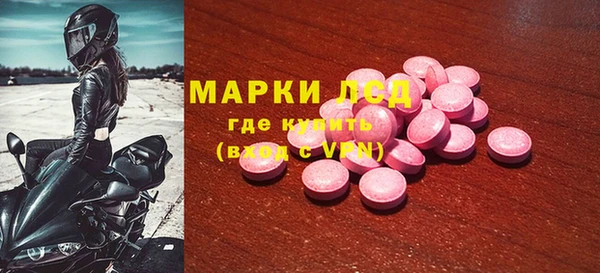 дмт Бородино
