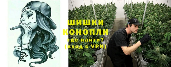 PSILOCYBIN Бугульма