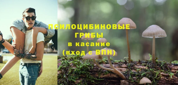 дмт Бородино