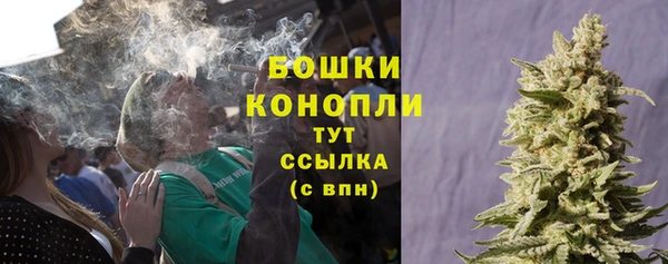 дурь Верхний Тагил