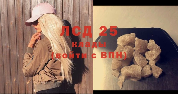 дмт Бородино
